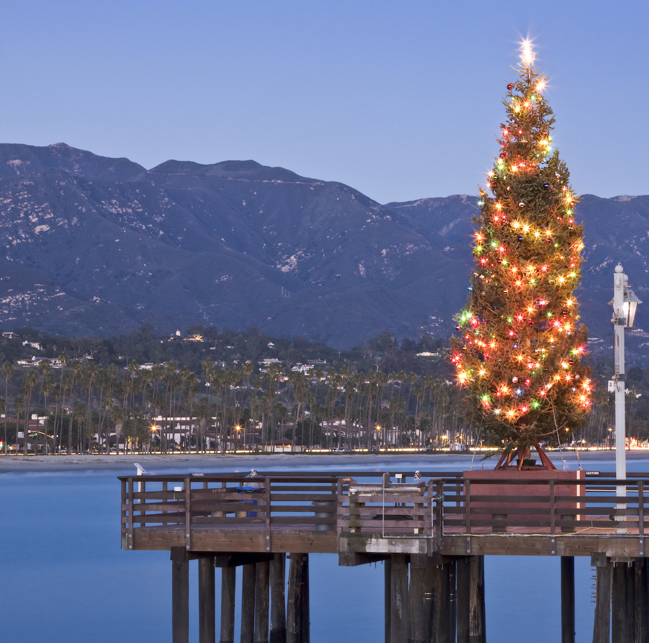 Christmas In Santa Barbara 2024 Tansy Florette