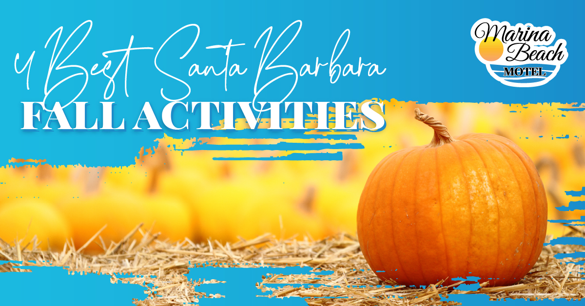 4 Best Santa Barbara Fall Activities Marina Beach Motel